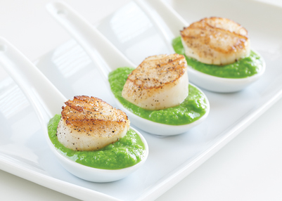 Scallops